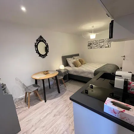 Le Patcho Confortable & Chaleureux , Idealement Situe Proche Centre Quartier Neustadt Tribunal, Contades Apartmán